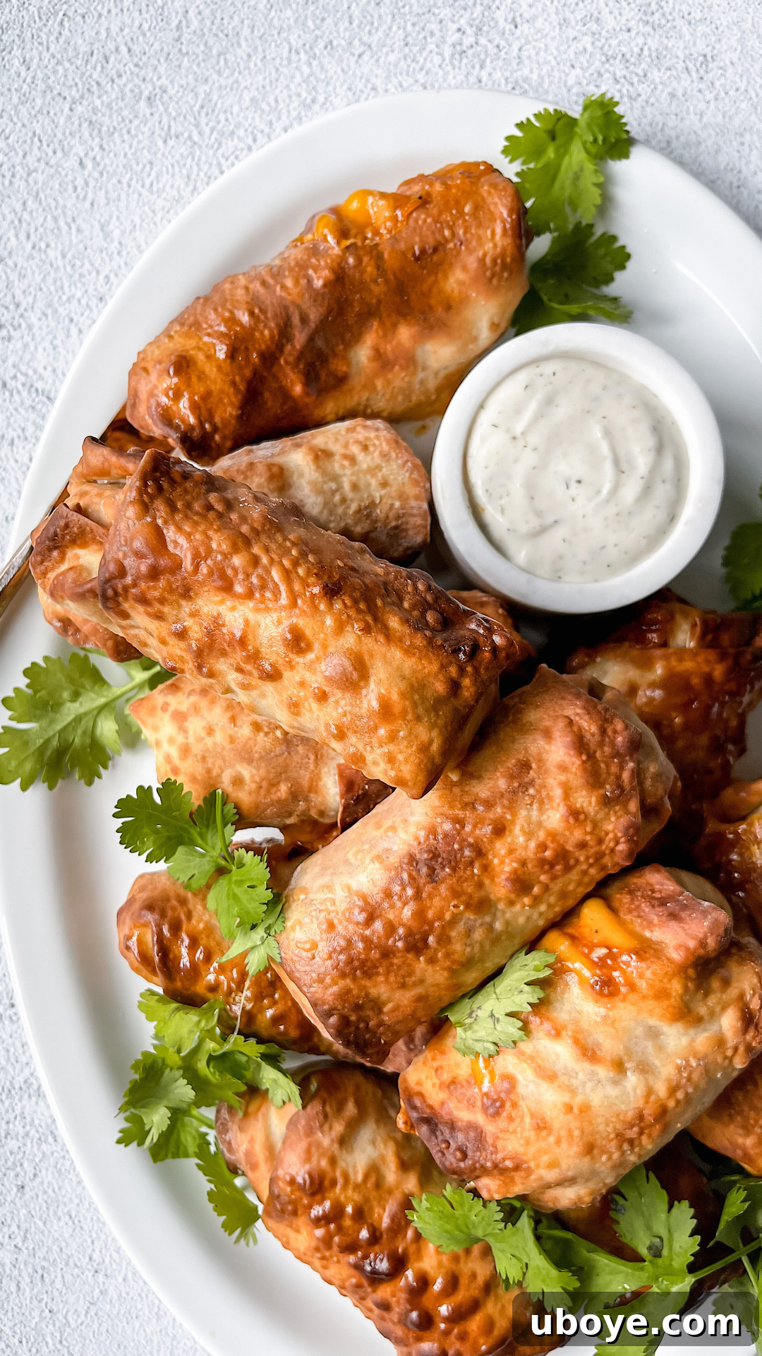 Crispy Air-Fried Vegan Buffalo Eggrolls 8 Crispy Air Fried BBQ Chicken Eggrolls