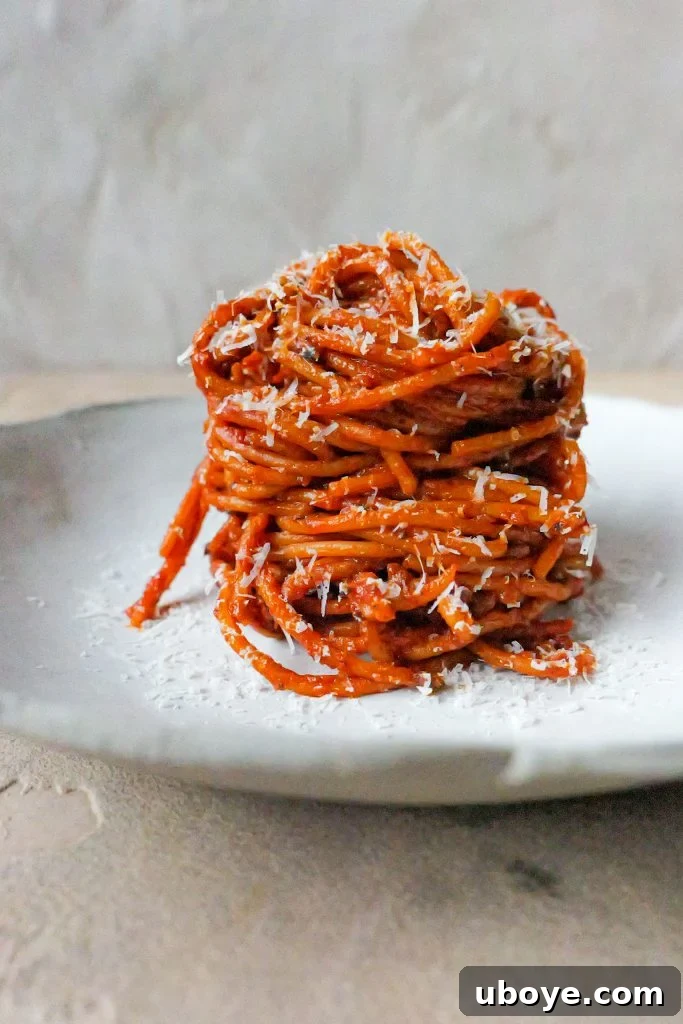 A completed plate of Pasta alla'Assassina with burrata