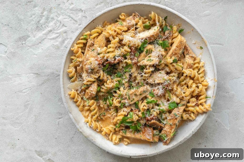 Rotini Pasta with Chicken Recipe