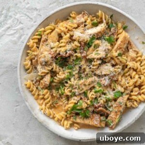 Rotini Pasta with Chicken Recipe