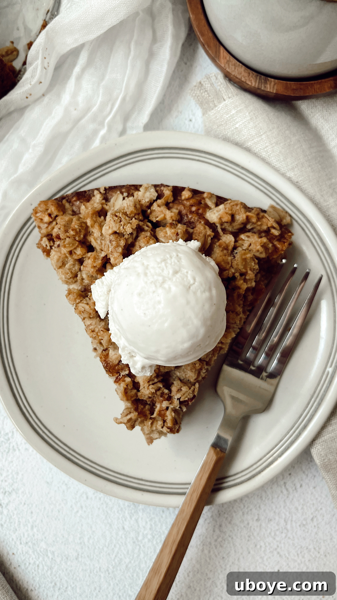 Gourmet Vegan Apple Crumb Cake 2 A slice of warm vegan apple crumb cake served with a scoop of vanilla vegan ice cream on a white plate, ready to be enjoyed.