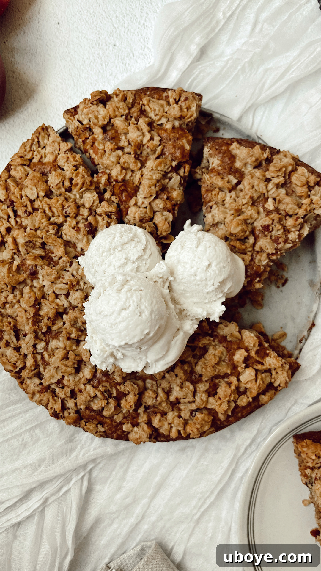 Gourmet Vegan Apple Crumb Cake 3 A beautifully baked vegan apple crumb cake, garnished with a sprinkle of powdered sugar and served with a side of vegan ice cream, highlighting its inviting texture.