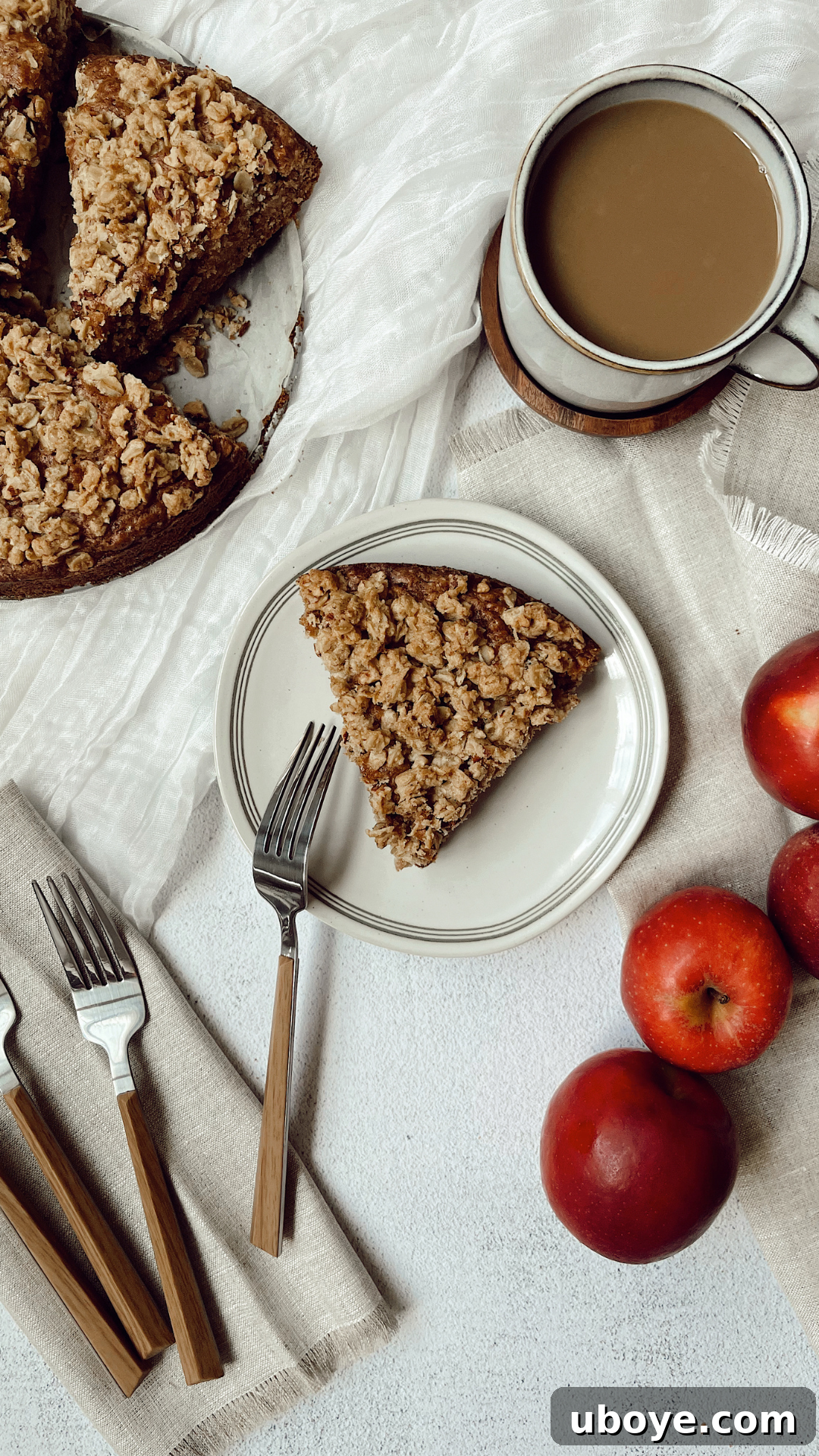 Gourmet Vegan Apple Crumb Cake 5 A beautifully presented slice of vegan apple crumb cake on a white plate, highlighting the golden crumb topping and soft interior.