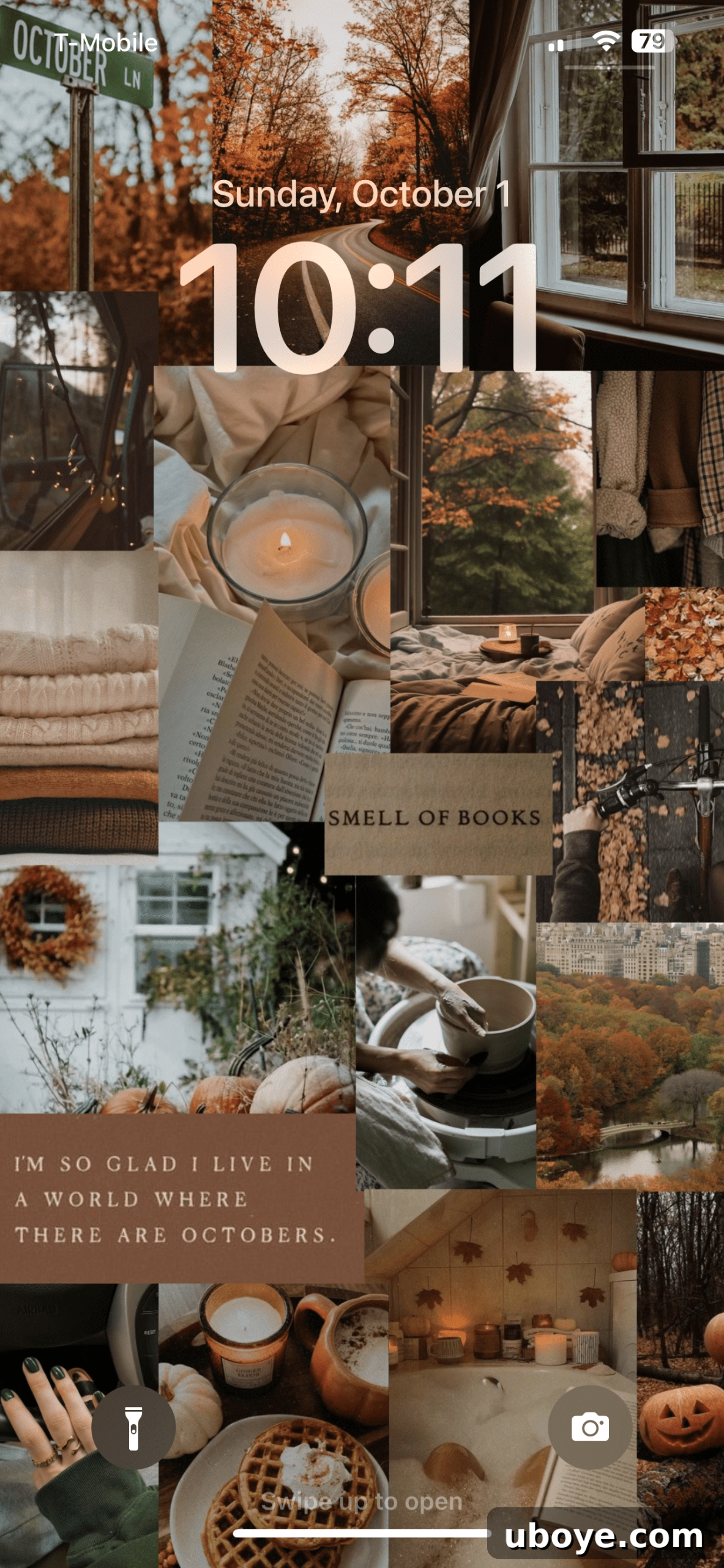 Fall into October 2023 Free Wallpapers for Your Devices 2 iPhone settings steps for changing wallpaper