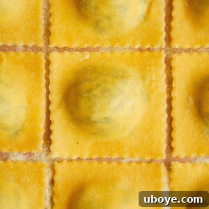 Homemade Spinach and Ricotta Ravioli