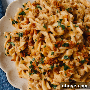 Close-up of Vegan Cheeseburger Hamburger Helper