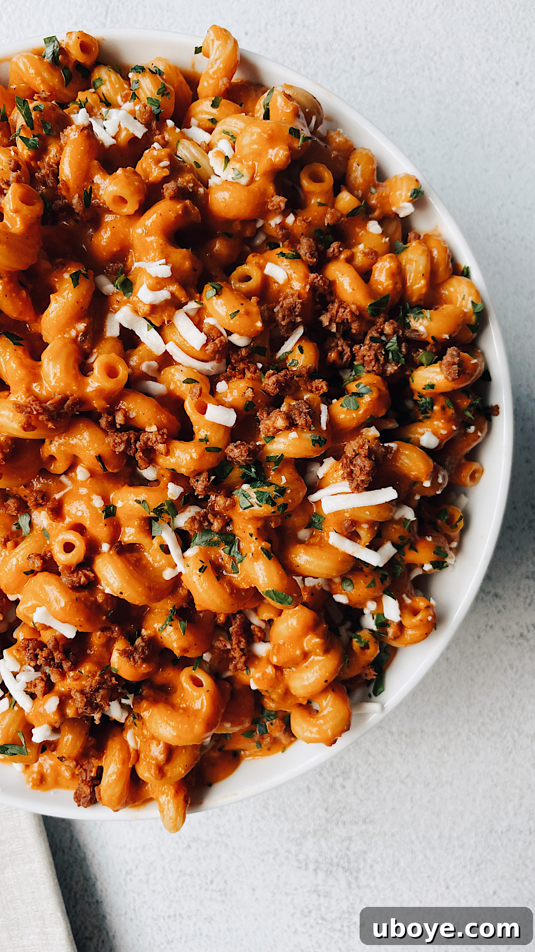 One-Pan Vegan Lasagna 2 A vibrant bowl of Plant-Based Lasagna Hamburger Helper, garnished with fresh basil, showcasing rich tomato sauce, vegan crumbles, and melted mozzarella.