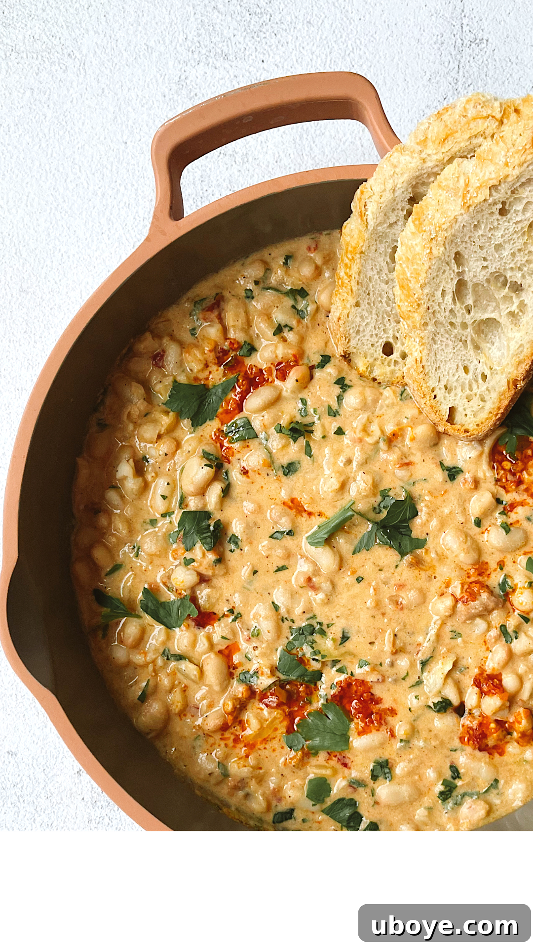 Creamy Italian Cannellini Beans 2 A close-up shot of a creamy white bean skillet generously topped with fresh parsley and sun-dried tomatoes, served with crusty bread.