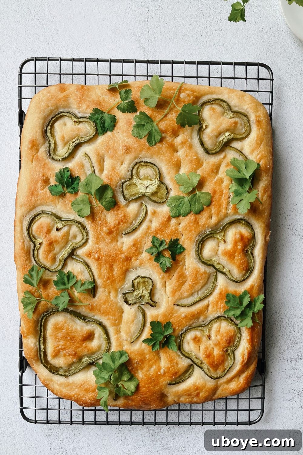 Freshly baked focaccia bread shaped into shamrocks for St. Patrick's Day