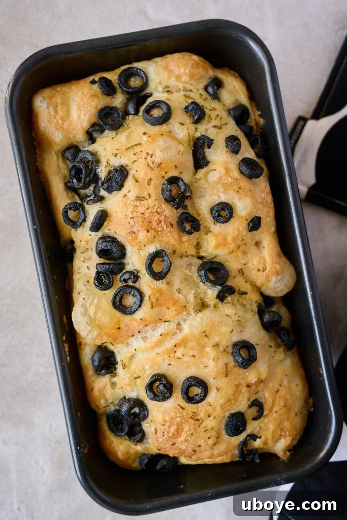 Focaccia Sandwich Bread 3 Close-up of olive-topped Loaf Focaccia in a tin