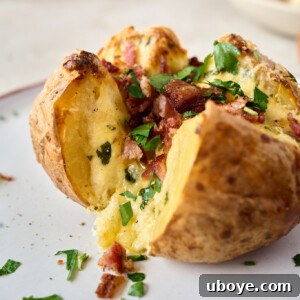 Garlic butter and cream cheese baked potato