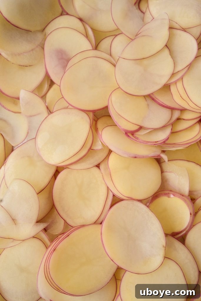 Thinly sliced red potatoes, ready for layering