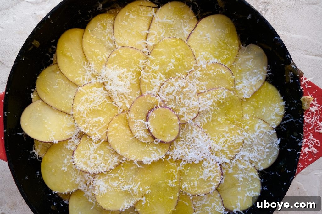 Heavenly Brie Potato Gratin 9 Thinly sliced raw potatoes