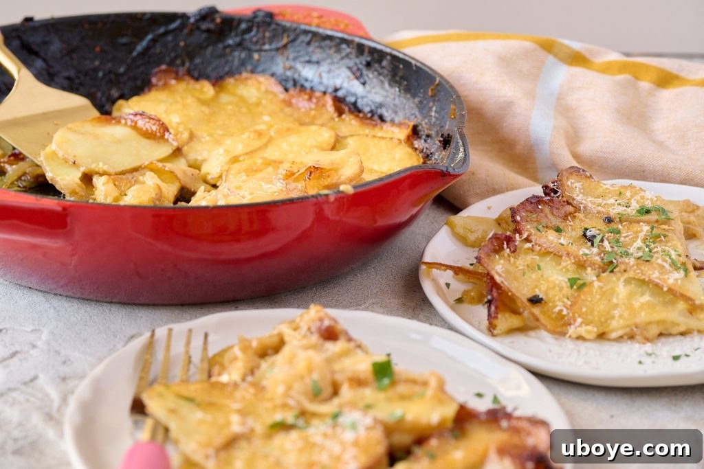 Heavenly Brie Potato Gratin 10 Serving of the brie potato bake with parsley garnish