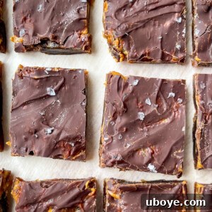 No Bake Date Bark Delight 7 Date Bark Recipe thumbnail