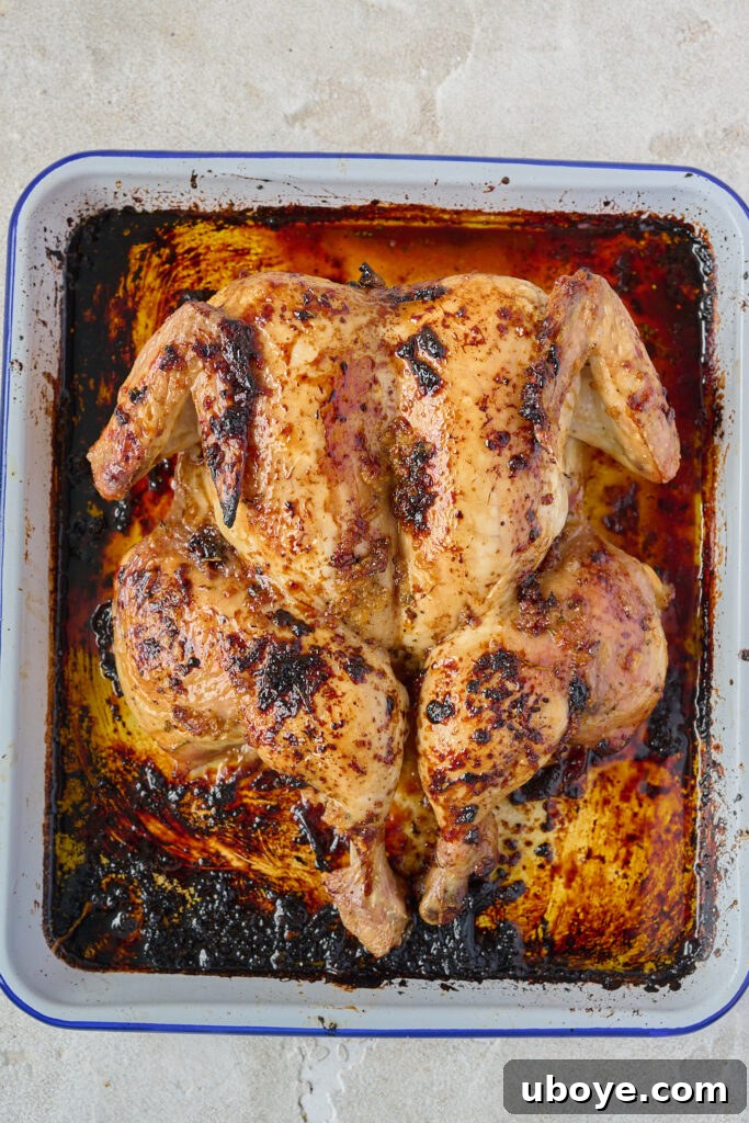 Butter-Basted Maple Roast Chicken 3 Close-up shot of maple butter roasted chicken in a cast iron skillet, garnished with fresh rosemary.