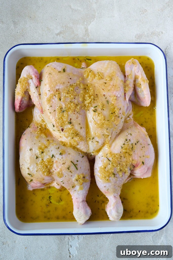 Butter-Basted Maple Roast Chicken 4 Uncooked spatchcocked chicken seasoned and ready for roasting, with fresh rosemary sprigs.