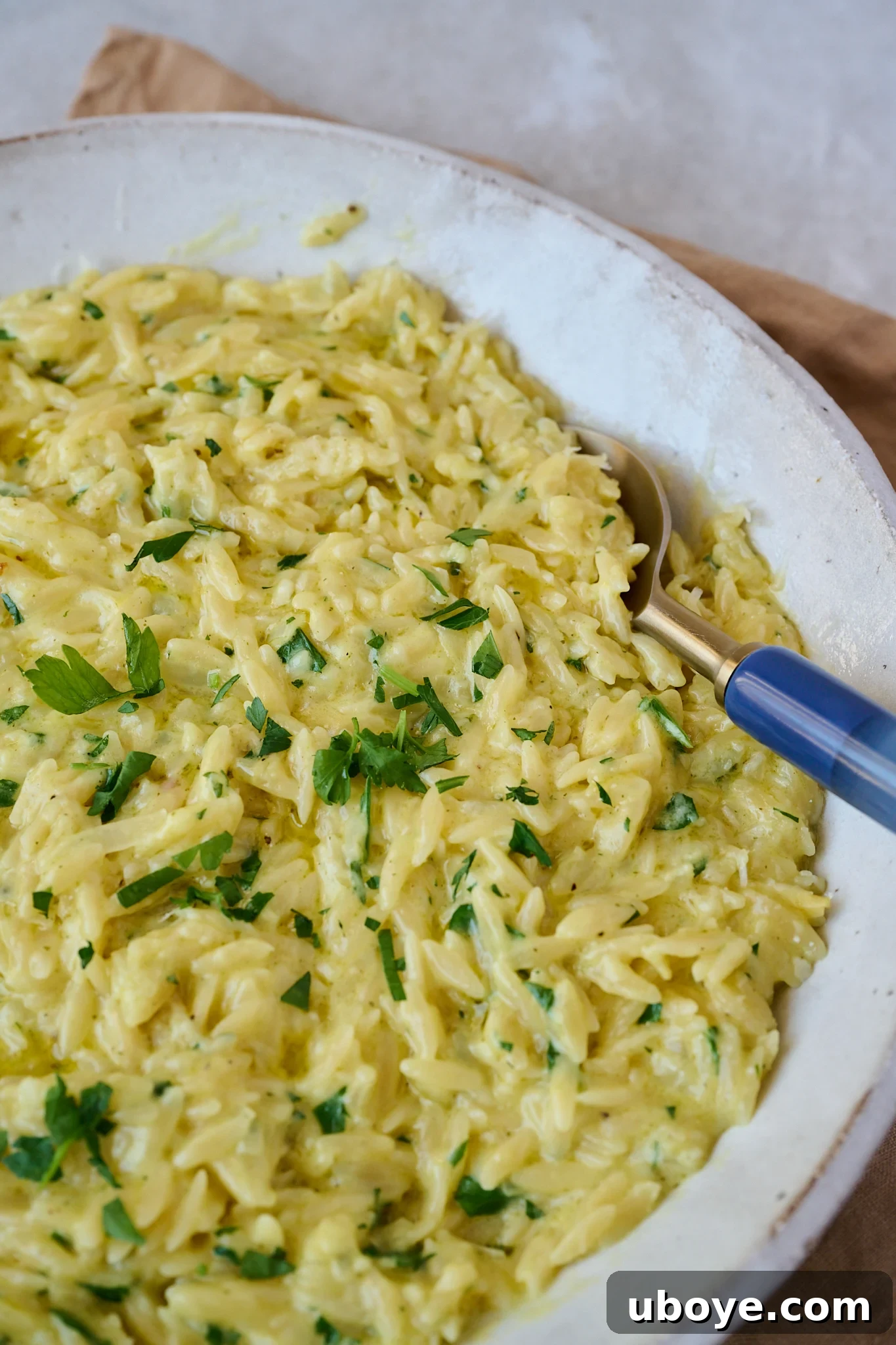 Velvety Garlic Skillet Orzo 2 Freshly made creamy garlic orzo, topped with vibrant green parsley, with a blue spoon gracefully emerging from the rich, saucy pasta. The dish is presented in a rustic bowl, highlighting its comforting appeal.