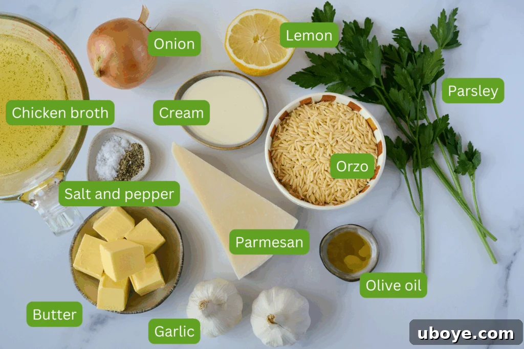 Velvety Garlic Skillet Orzo 3 A beautifully arranged flat lay of all the essential ingredients needed for creamy garlic one-pan orzo, displayed on a pristine marble backdrop. Ingredients include fresh onion, a vibrant lemon, golden chicken broth, rich cream, basic salt and pepper, unsalted butter, plump garlic cloves, rice-shaped orzo pasta, glistening olive oil, and fresh green parsley.