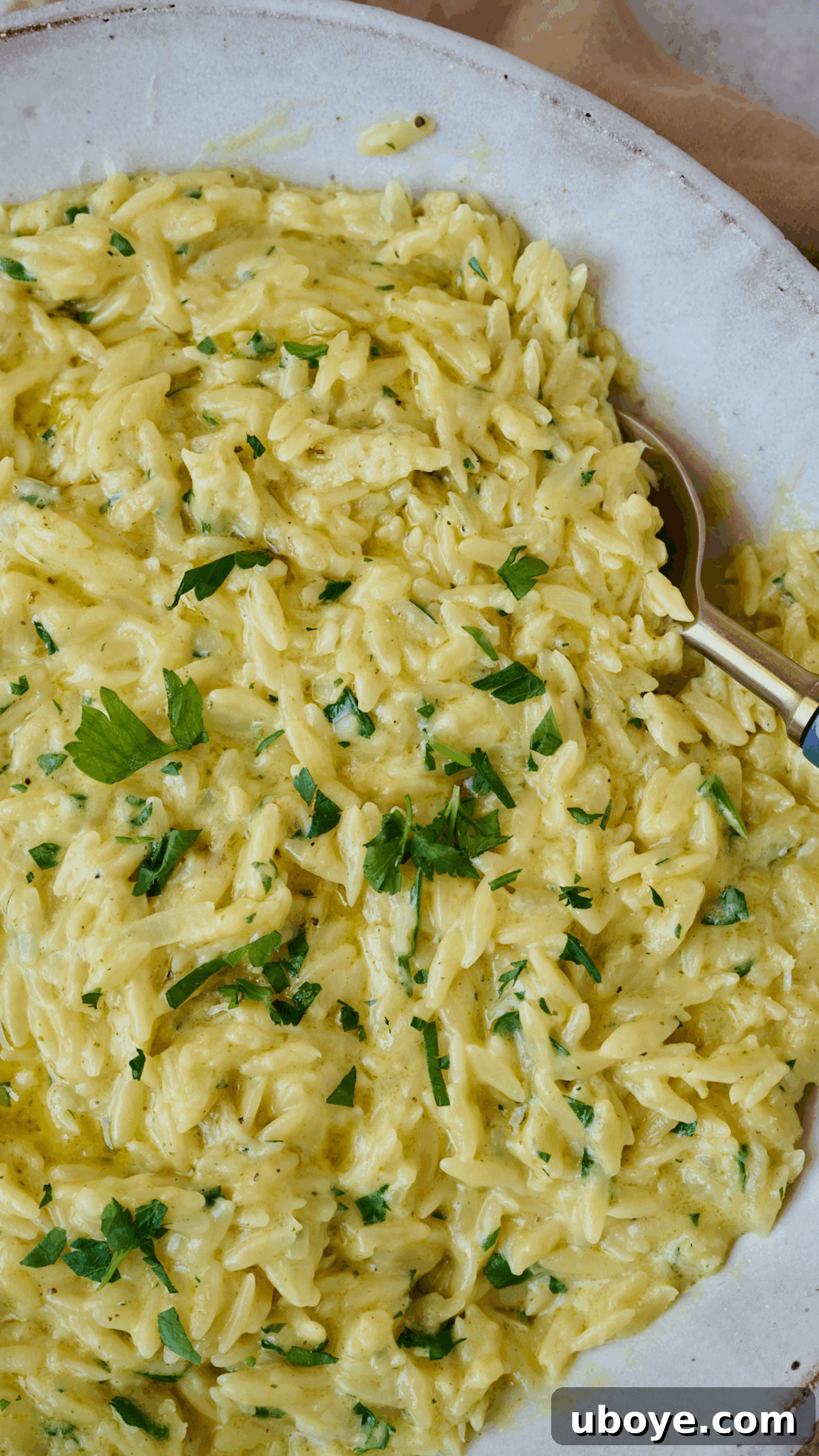 Velvety Garlic Skillet Orzo 7 Step 4 of making creamy garlic orzo: The finished creamy orzo is garnished generously with fresh, vibrant parsley, ready to be served immediately. A final sprinkle of grated Parmesan cheese adds an extra touch of flavor and elegance.