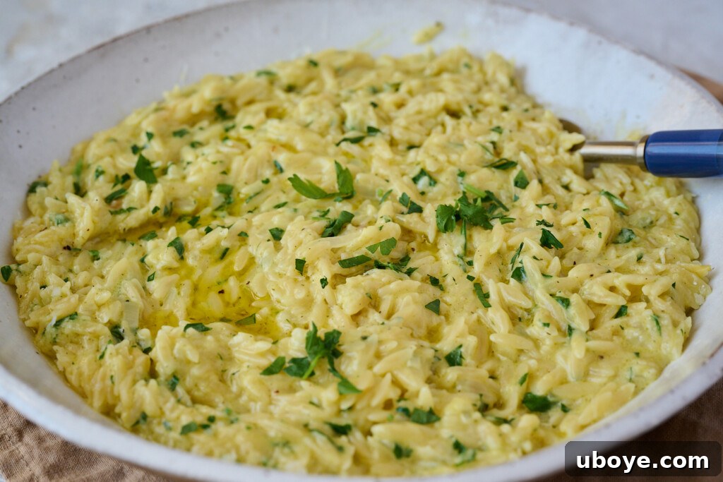 Velvety Garlic Skillet Orzo 8 A second shot of the freshly made creamy garlic orzo, garnished with parsley, with a blue spoon in the bowl, emphasizing its deliciousness and comfort food appeal for an easy meal.