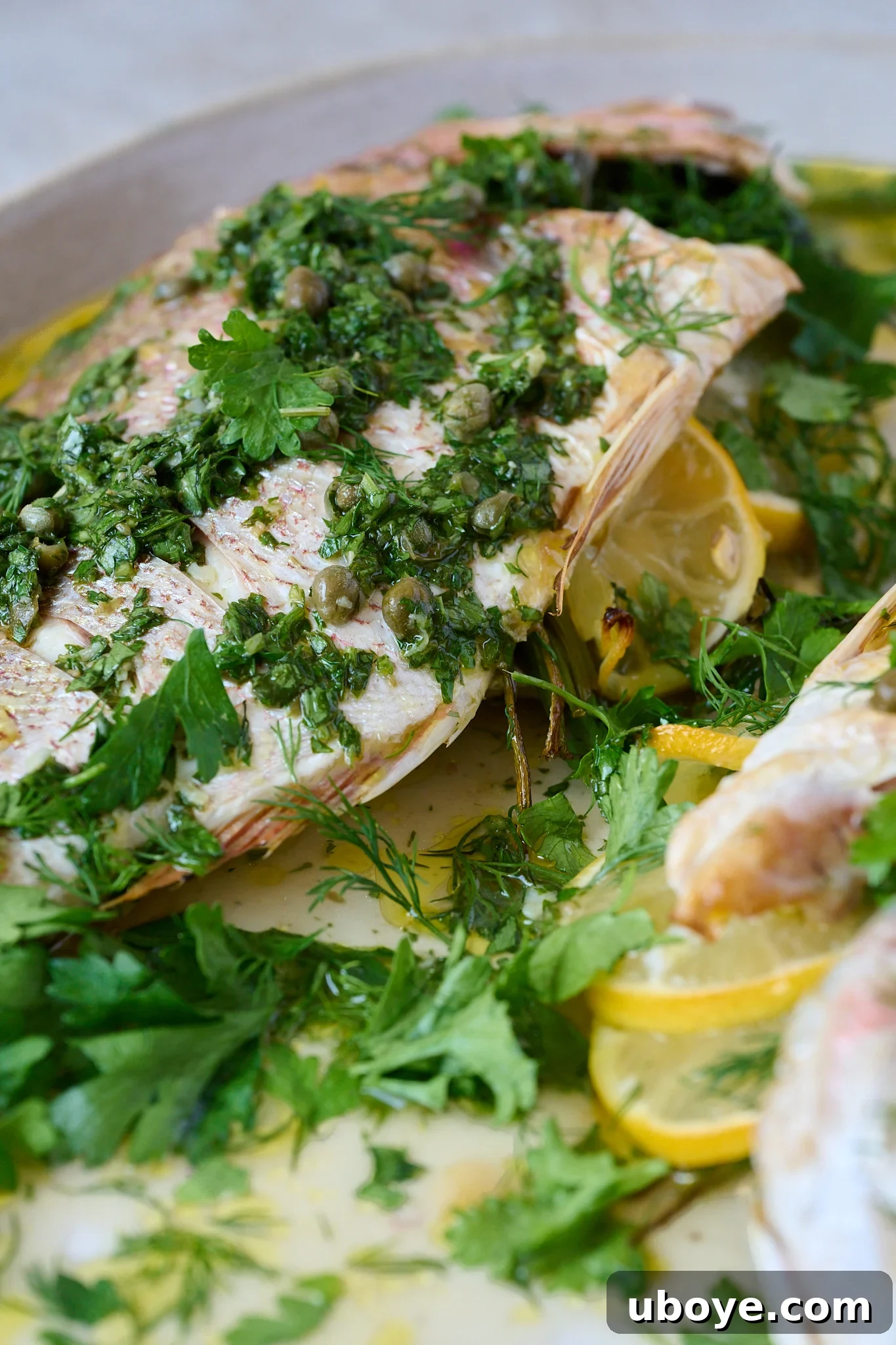 The impressive whole baked snapper, glistening with a generous drizzle of homemade salsa verde and garnished with fresh herbs, elegantly arranged on a large white serving platter, ready to be enjoyed.