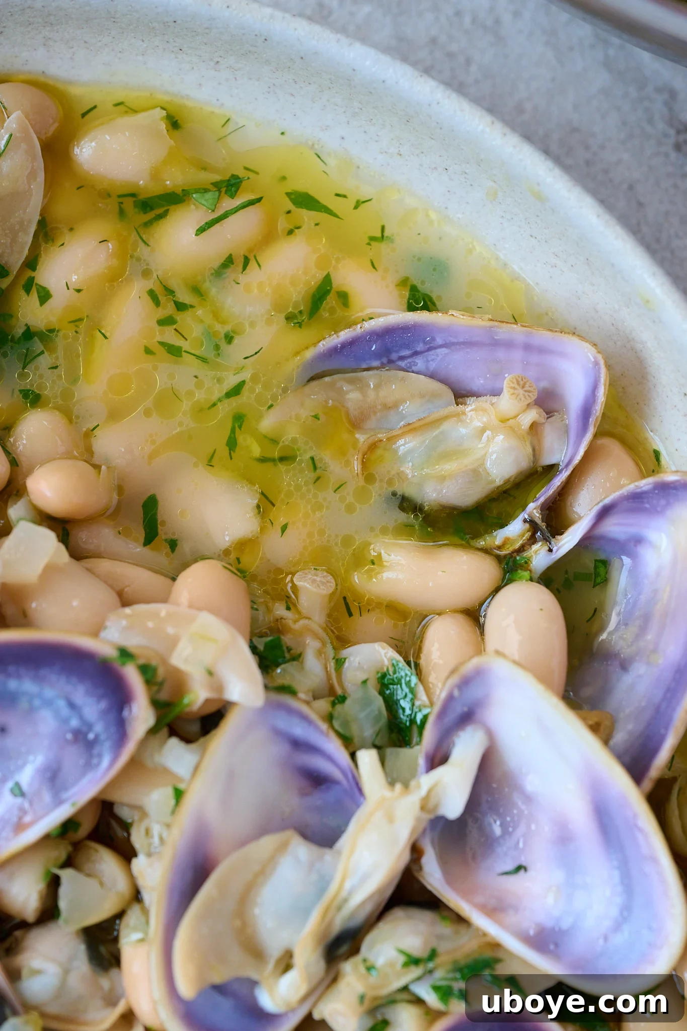Rustic Spanish Clam and White Bean Pot 6 Large white bowl with Spanish white bean and clam stew. There are 7 clams that are opened on top with a beautiful purple shell. Fresh parsley is sprinkled all over.