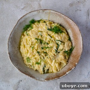 Delicious Caramelized Fennel One Pot Orzo Pasta