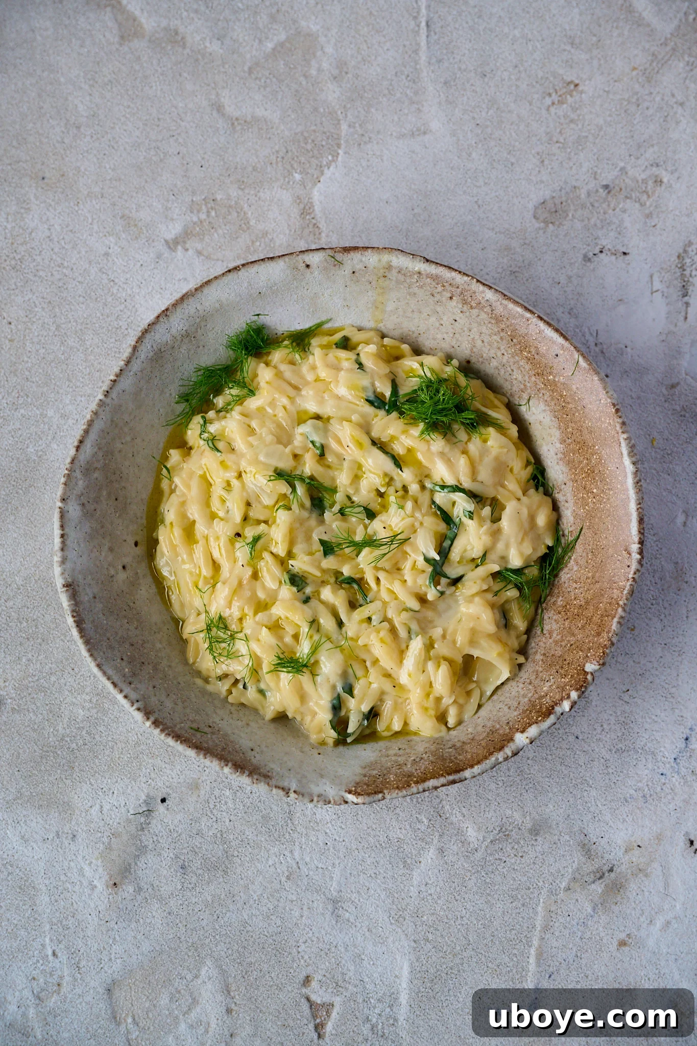 Caramelized Fennel One Pot Orzo Pasta served in a rustic brown bowl, garnished with fresh basil leaves and delicate fennel fronds.