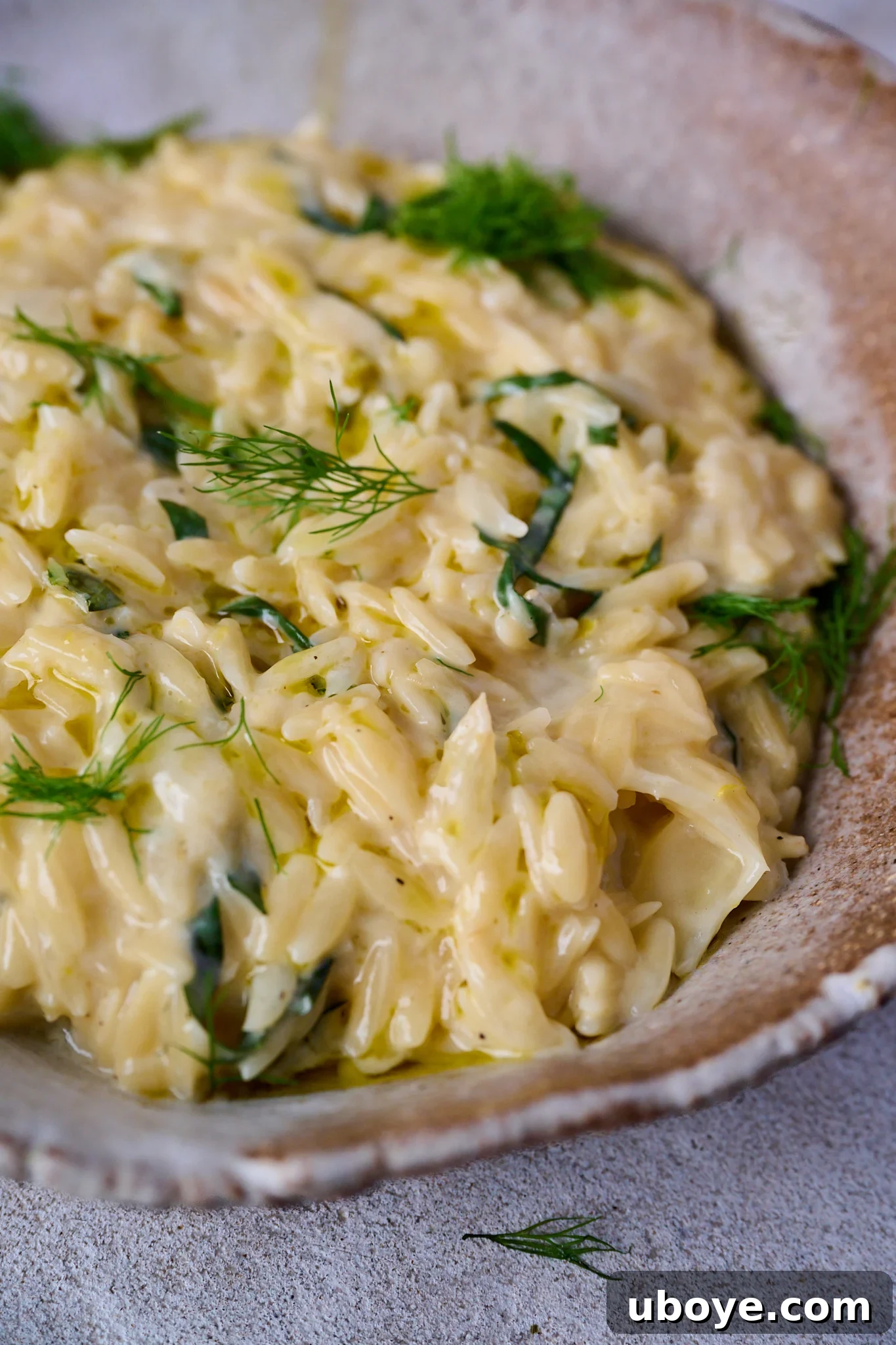 A close-up shot of Caramelized Fennel One Pot Orzo Pasta in a brown round bowl, artfully garnished with fresh basil and delicate fennel fronds, showcasing its creamy texture and vibrant herbs.