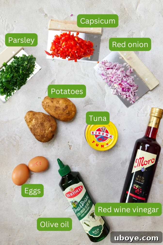 Ingredients shown for spanish potato salad including potatoes, eggs, red onion, parsley, capsicum, red wine vinegar, tuna and olive oil